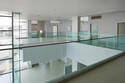 "����� ������������ ������������" ����� Champalimaud (�) Dora Nogueira