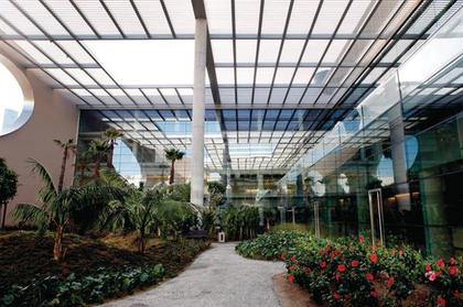 "����� ������������ ������������" ����� Champalimaud (�) Dora Nogueira