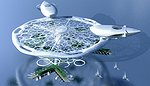 Отель на воде Отель на воде