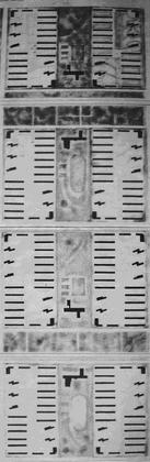 Рис. 9. Типовые кварталы. Гипрогор. 1931. Источник:  ГАРФ. Ф. А-314. Оп. 1. Ед. хр. 7669. 154 л.