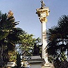 Sochi. Arboretum.