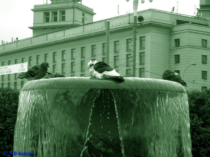 Good-bye, Muscovites! Hotel "Moscow";. The chronicle of destruction. Photogallery by Alexey Komlev